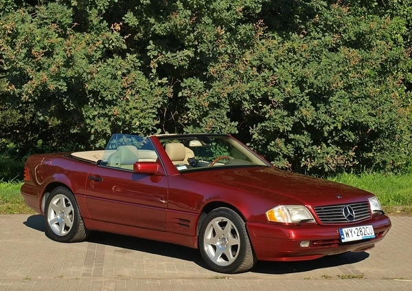 Mercedes-Benz SL cena 80000 przebieg: 115000, rok produkcji 1997 z Warszawa małe 781